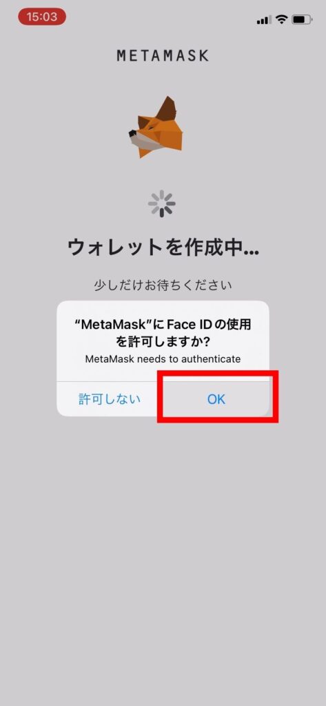 iphone-METAMASK6